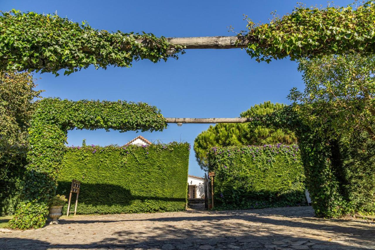 Country Village Senses Reguengo Grande Bagian luar foto